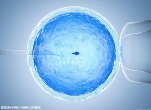 专业供卵代怀服务生殖中心